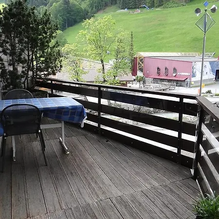 Apartment Birkenstrasse 54 Engelberg